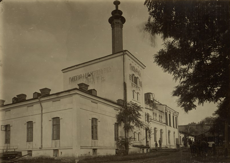 pivo